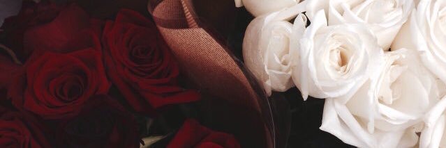 Meriniemooky's profile banner image
