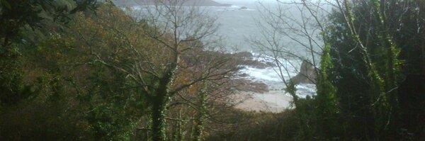 TheDumbTerminal Profile Banner