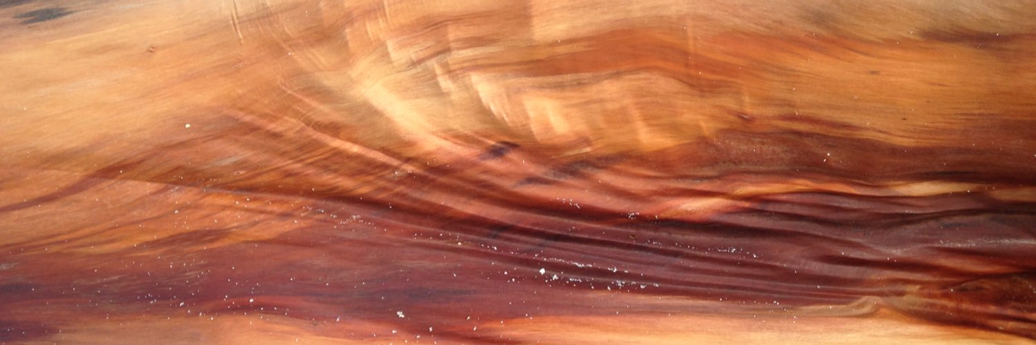 Carla Sevin, MD banner