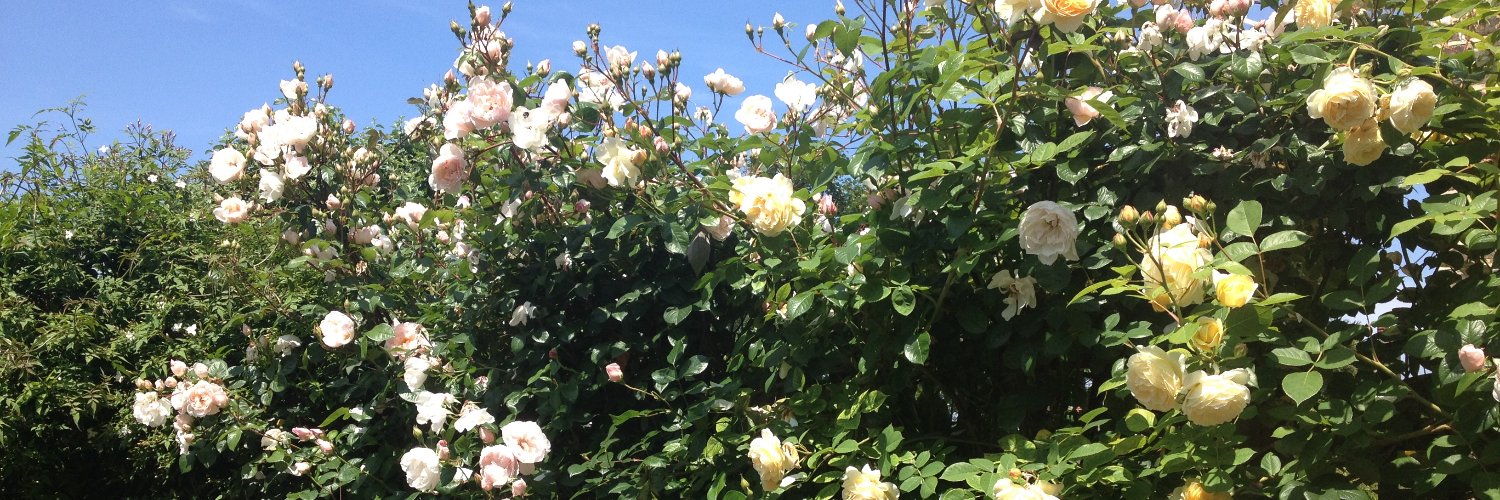 Graham Cowley banner
