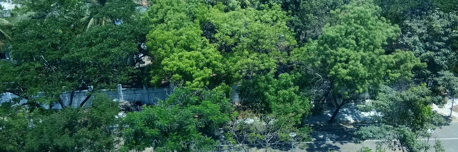 RFernandez6's profile banner image