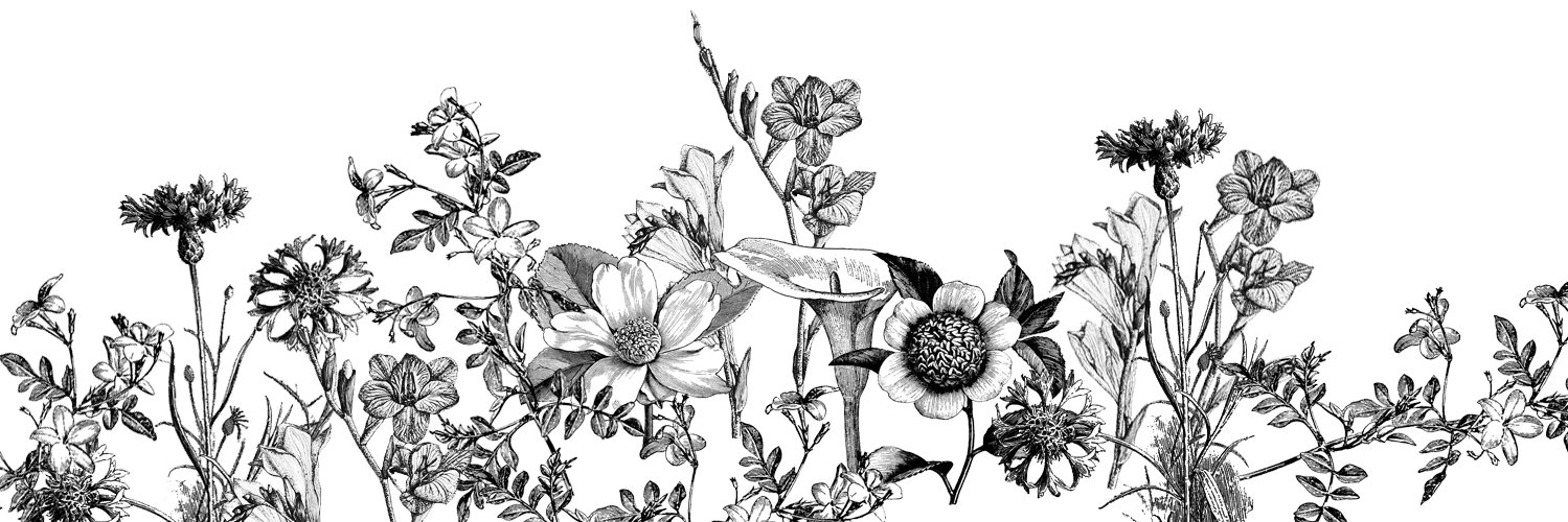SugarFlyChicago's profile banner image