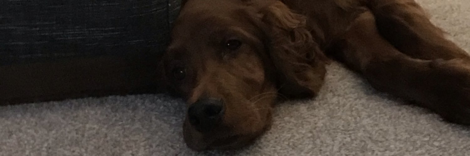 jonnyagray's profile banner image