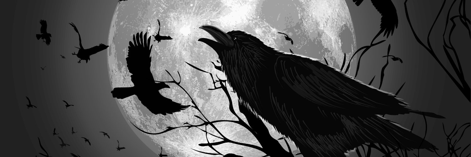 993Alex's profile banner image