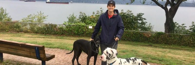 averypayne6's profile banner image