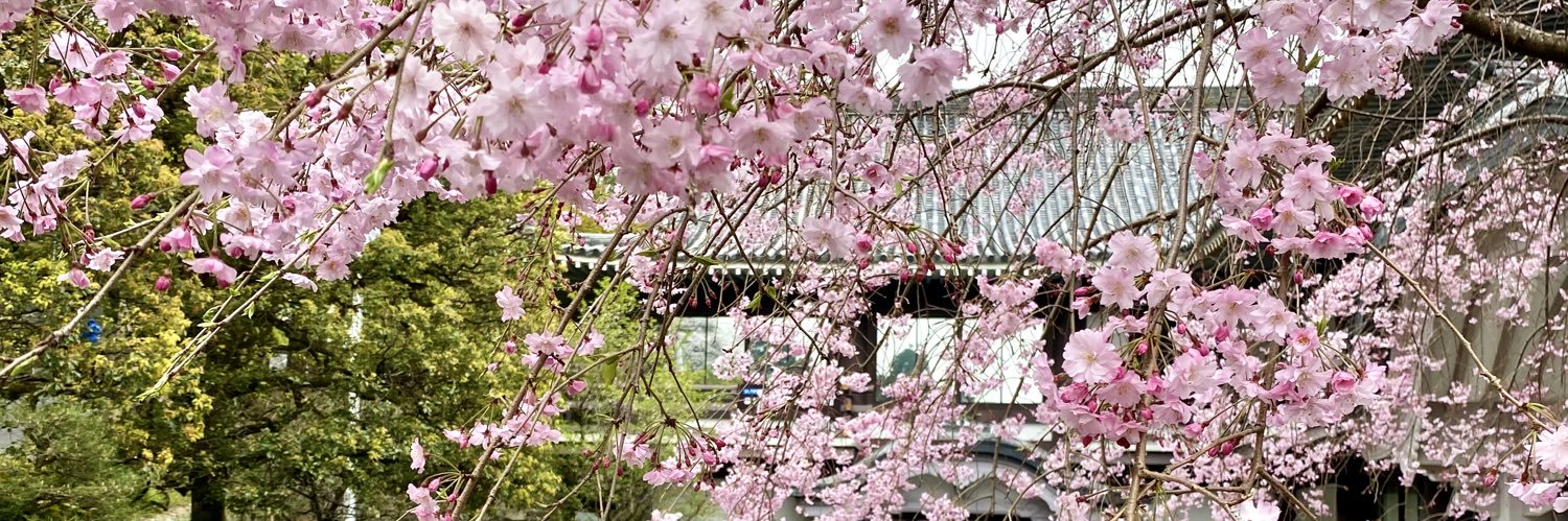 霊山歴史館（りょうぜんれきしかん） banner