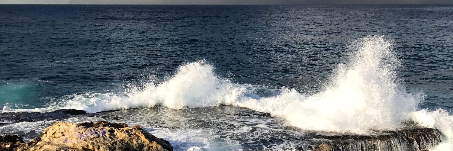 GeorgiaKassab's profile banner image