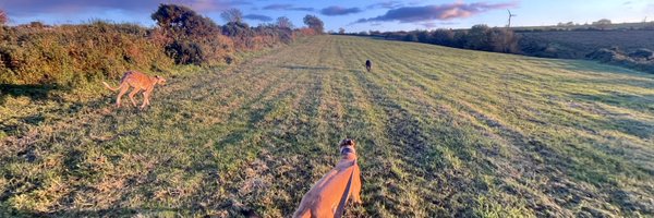 Jooles_Slater Profile Banner