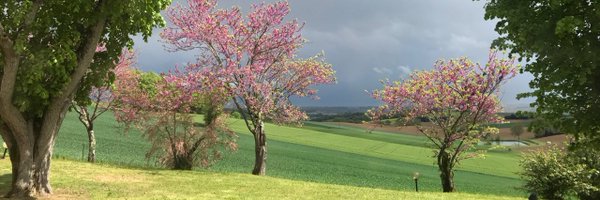 Frédérique Dumas Profile Banner