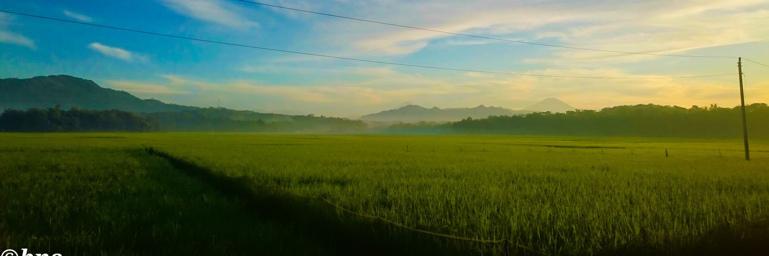 basuki_n_s's profile banner image