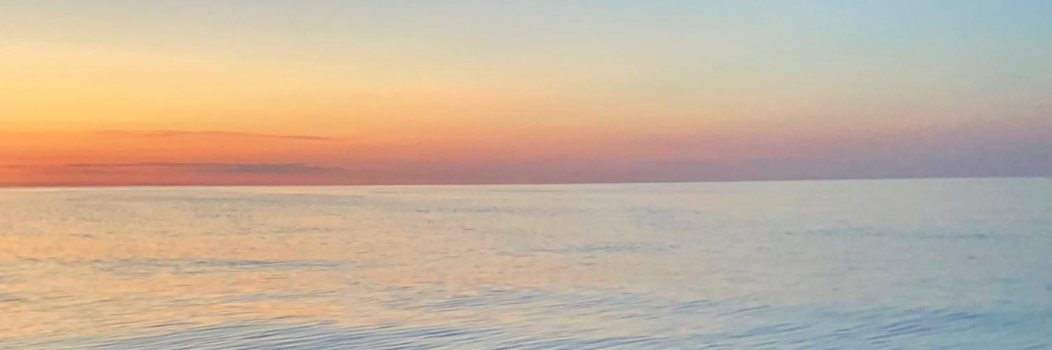 elodsarras's profile banner image