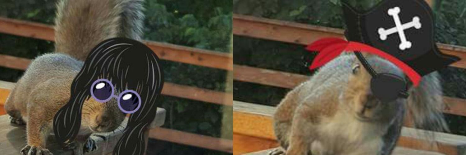 dromMomma's profile banner image