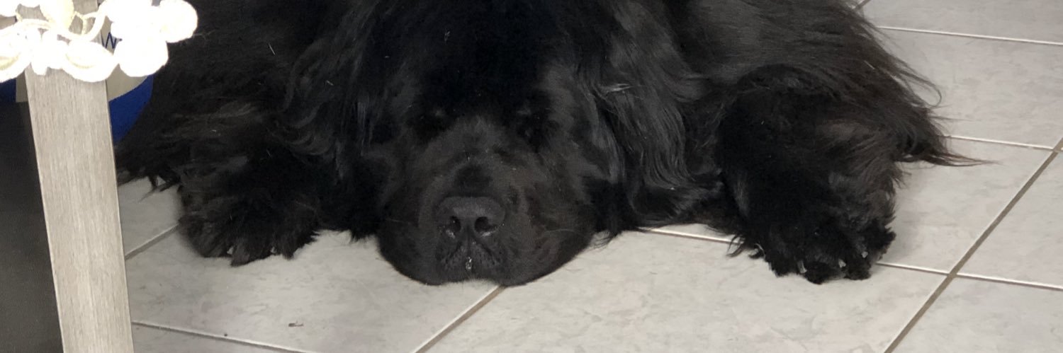 Zach_chilli's profile banner image