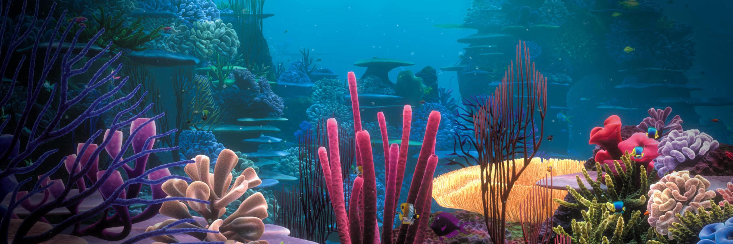 OctopusOllieO's profile banner image