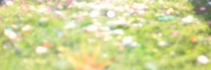 BeaSamper's profile banner image