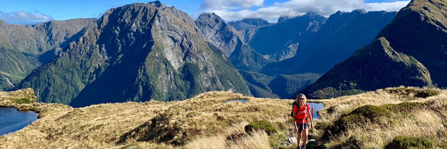 CarolineZRead's profile banner image