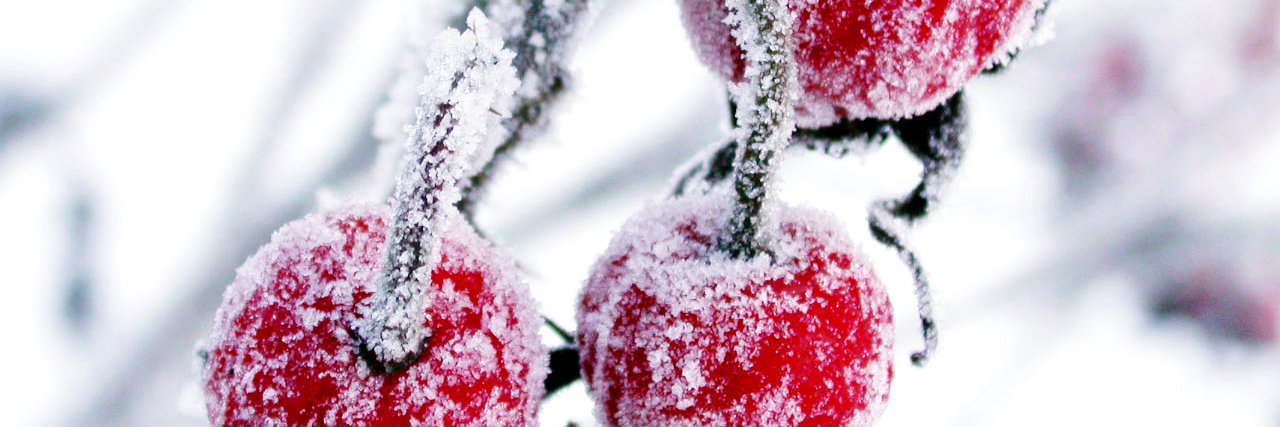 Toepelmann Roger banner