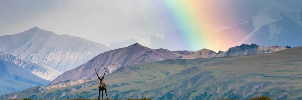 AlaskaBigDipper's profile banner image