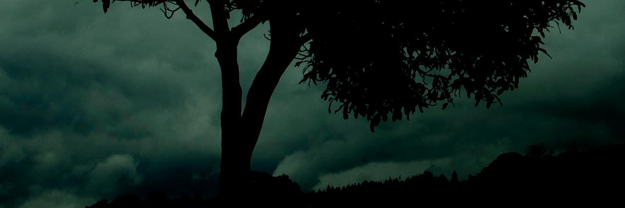 R_reren's profile banner image