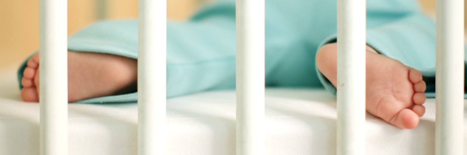 Swellbeing banner