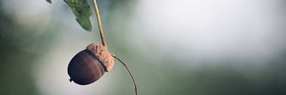 timvriend's profile banner image