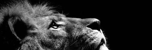 ibn6907's profile banner image
