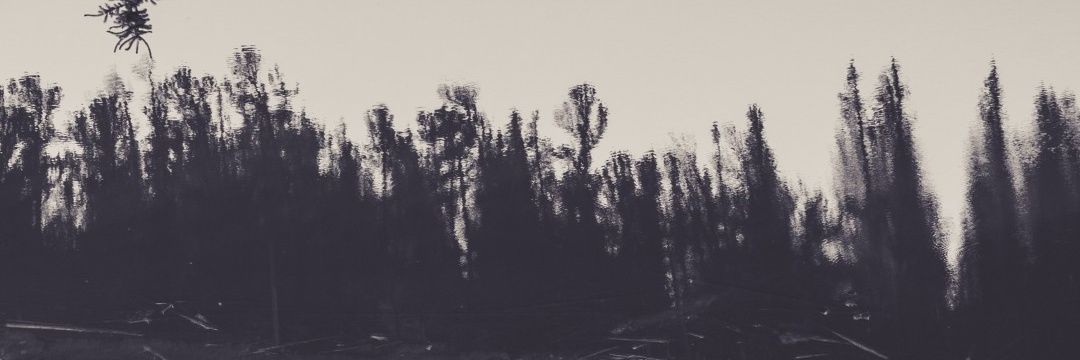 mydmb135's profile banner image