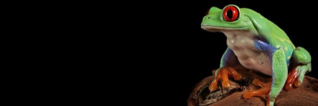 MoMotaros_01's profile banner image
