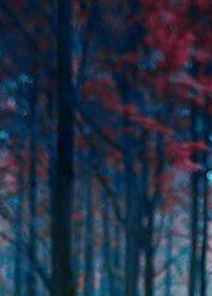 Netrebos's profile banner image