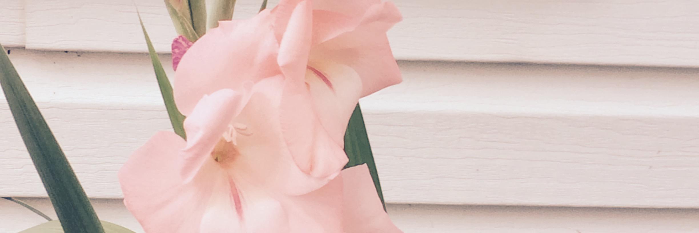 Minhope4's profile banner image
