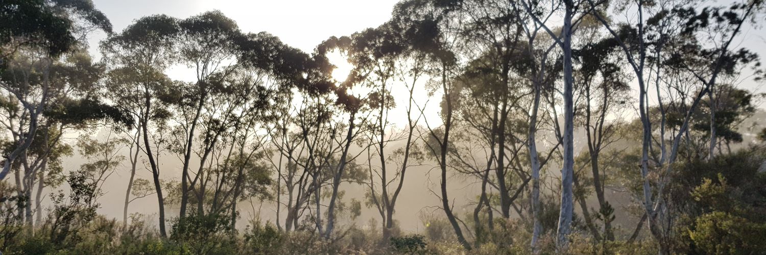 elfboyslim's profile banner image