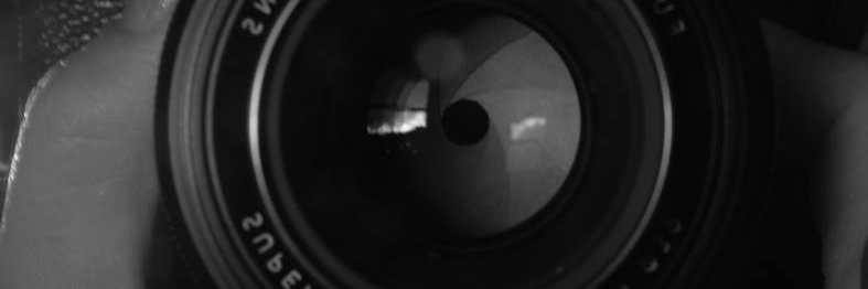 Fran Ces banner