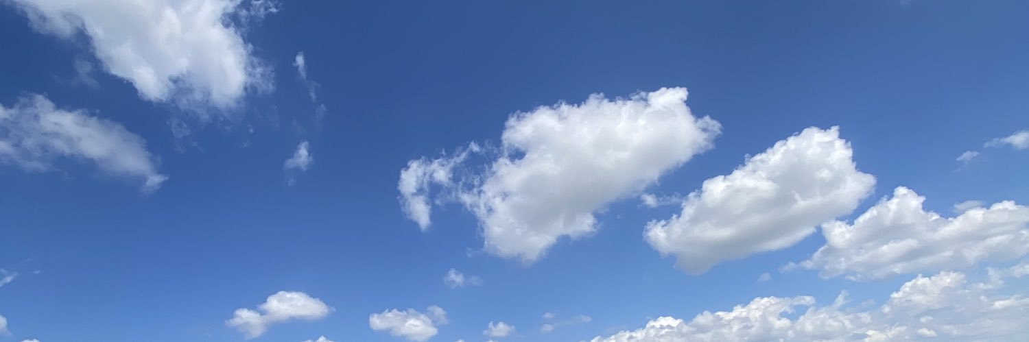 beluumolina_'s profile banner image