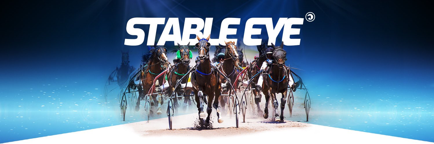 TeamStableEye's profile banner image