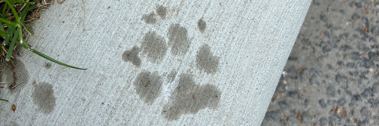 PhoenixGreen40's profile banner image