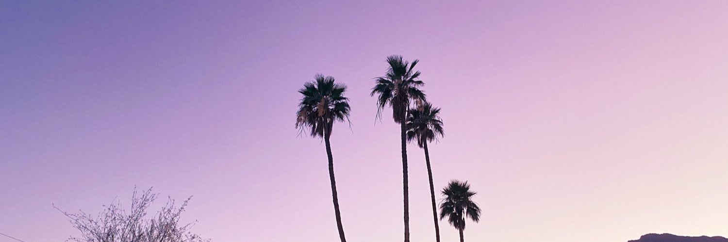 ammieable's profile banner image