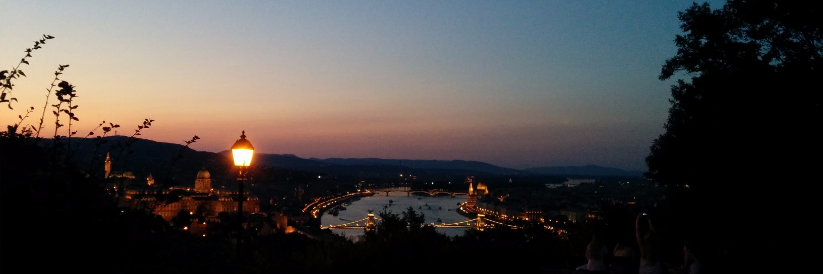 Federico Vegetti banner