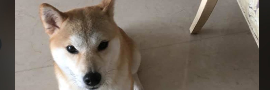 sqphy's profile banner image