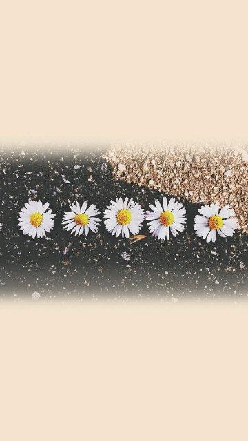 svittta's profile banner image