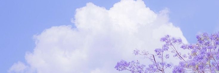 Wannis_S's profile banner image