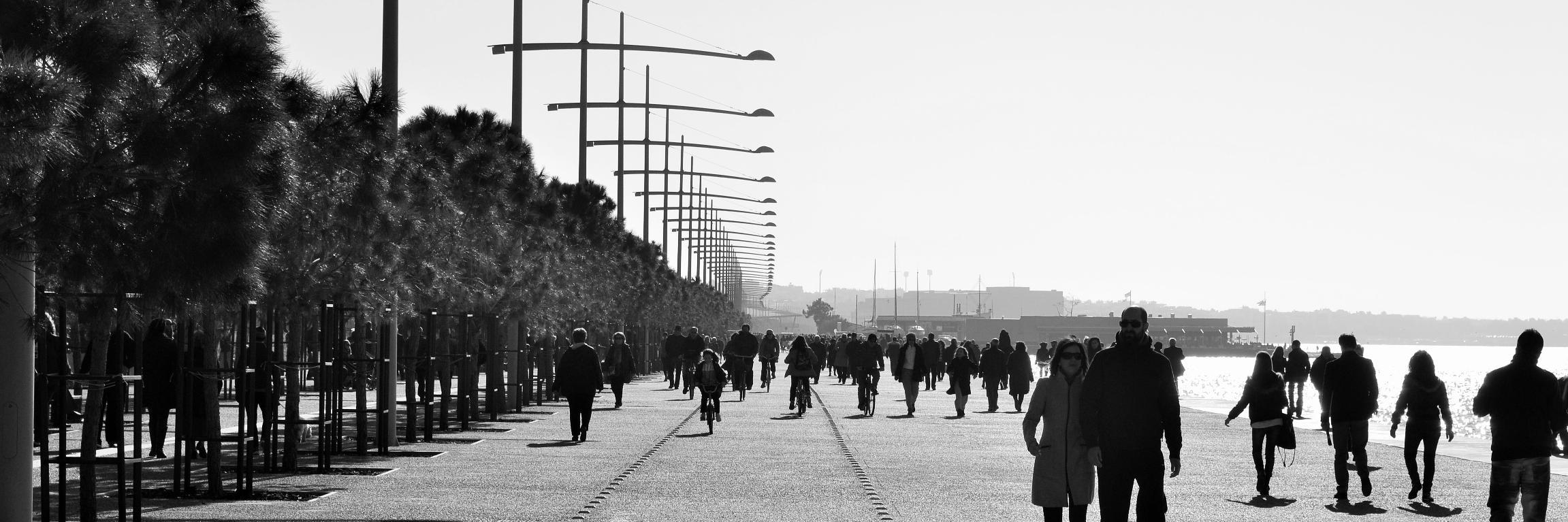 Nick Milapidis banner