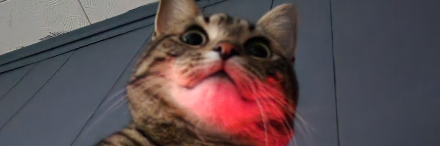 glizzyelliot's profile banner image