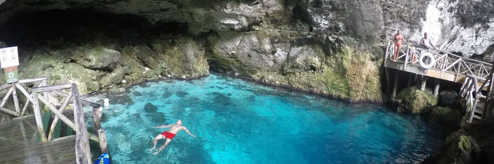 Curtis Staple banner