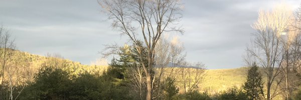 sgenzer Profile Banner