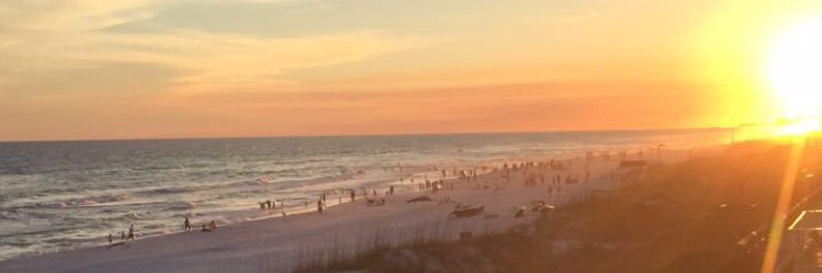 T_Hayes14's profile banner image