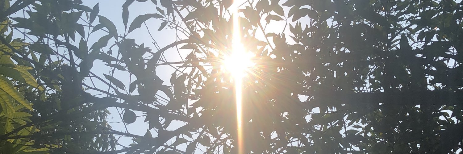greatgis's profile banner image