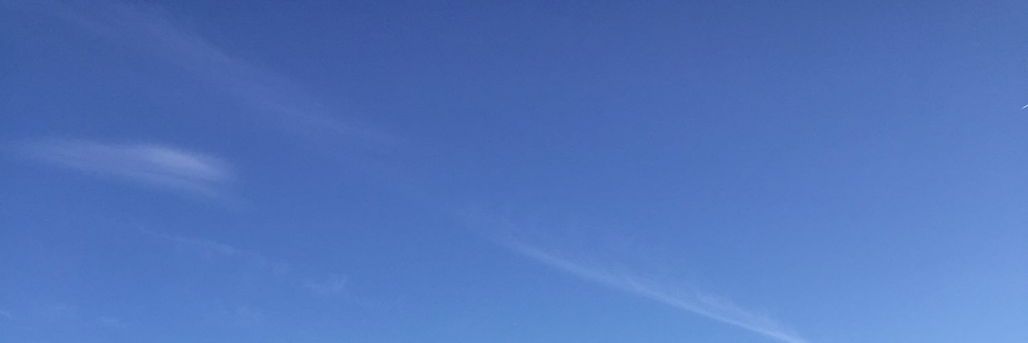 Ana Dubois banner