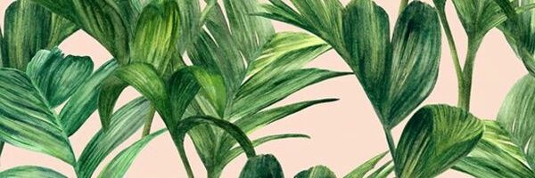 rheedee's profile banner image