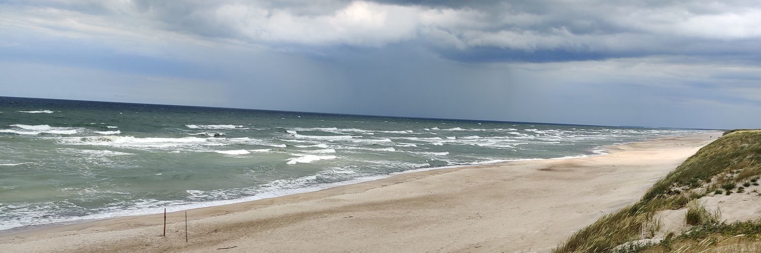 austekiskiene's profile banner image