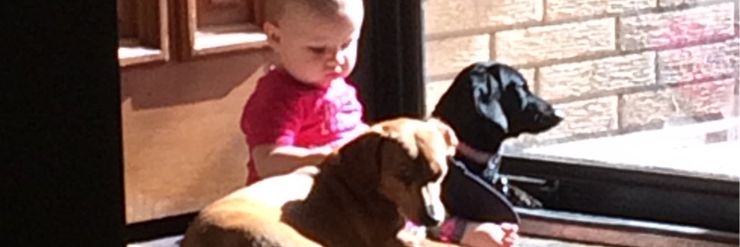 CoreyWEubank's profile banner image